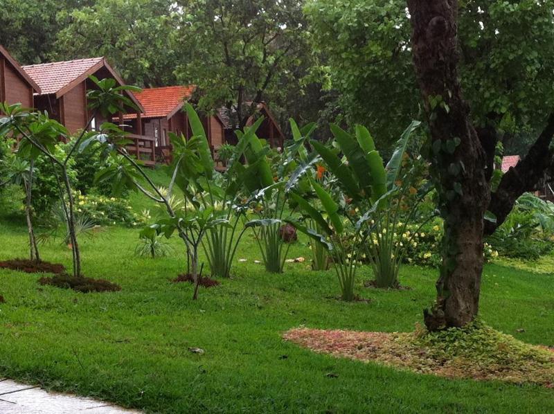 Stone Water Eco Resort Goa エクステリア 写真